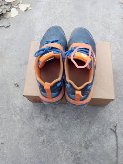 Cricket Shoes Brand CA