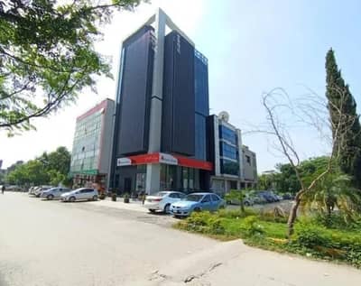 Female Receptionist and PS