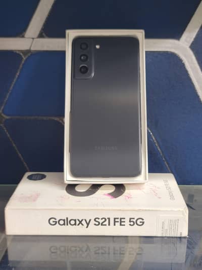 S21 fe official  pta