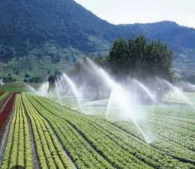 Drip Irrigation and Sprinkling system