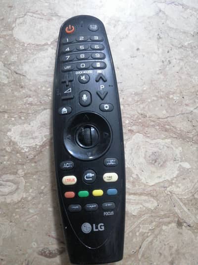 LG Magic remote