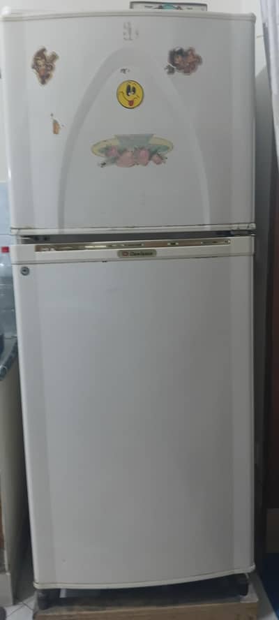 fridge in refrigerator