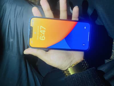 Iphone 13 pta approved