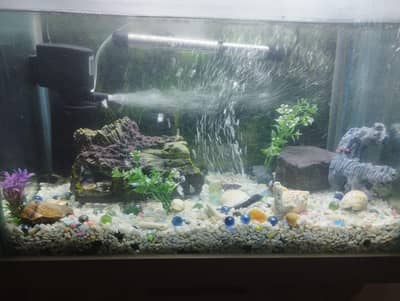 HAND-PAINTED AQUARIUM SET | SILENT PUMPS | FULL ACCESSORIES