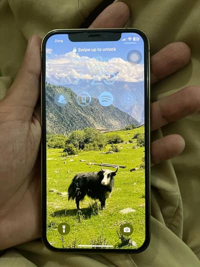 Iphone 12 pro PTA APPROVED