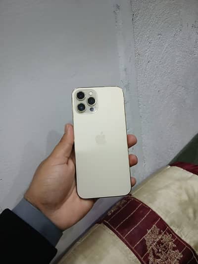 iPhone 12 Pro Max pta approved