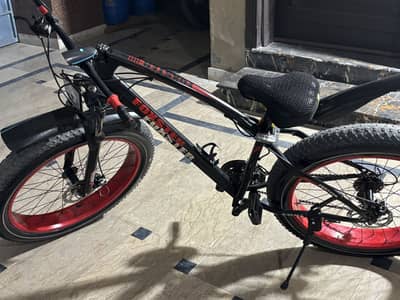 Fat bike