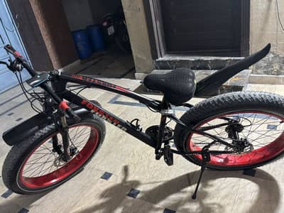 Fat bike