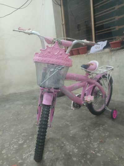 Brand New Kids Bicycle – Never Used (Excellent Condition)