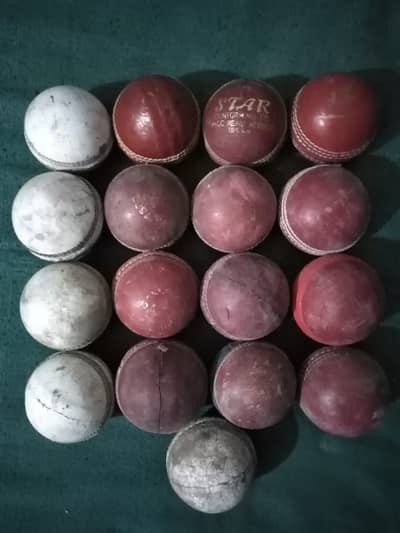 Hard ball Cricket