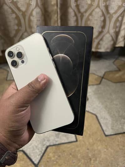 iphone 12 pro max pta approved