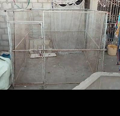 pingera 5 fith length