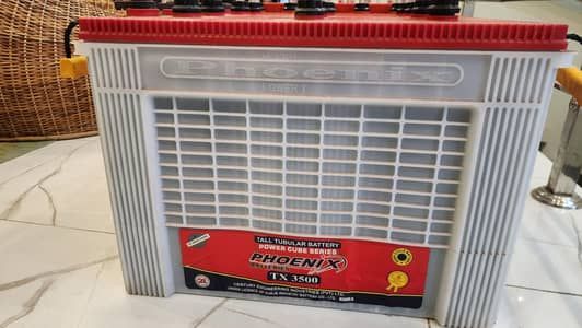 PHOENIX & EXIDE TALL TUBLAR BATTERIES USED 12 PCS