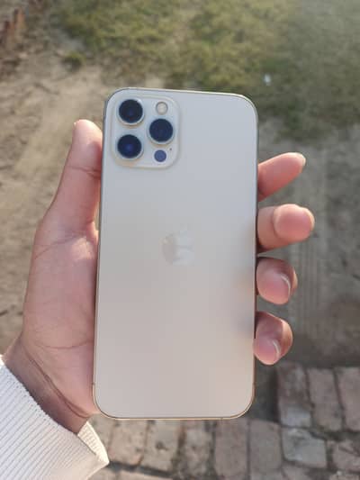 12 pro max 89 health