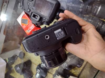 6d body and 50mm for sale
