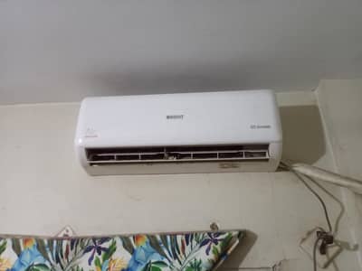 orient company good condition