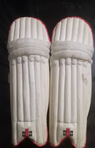 Circket Hard ball pads and kit bag