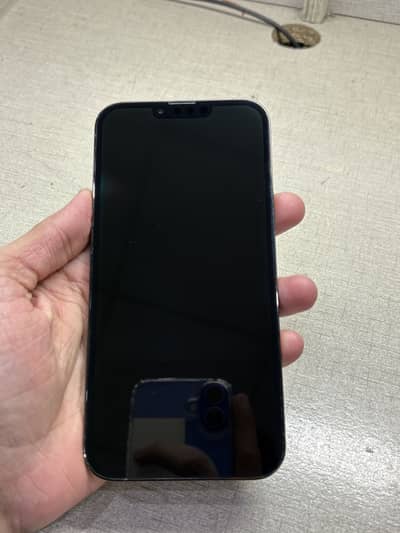 Iphone 13 pro max pta approved