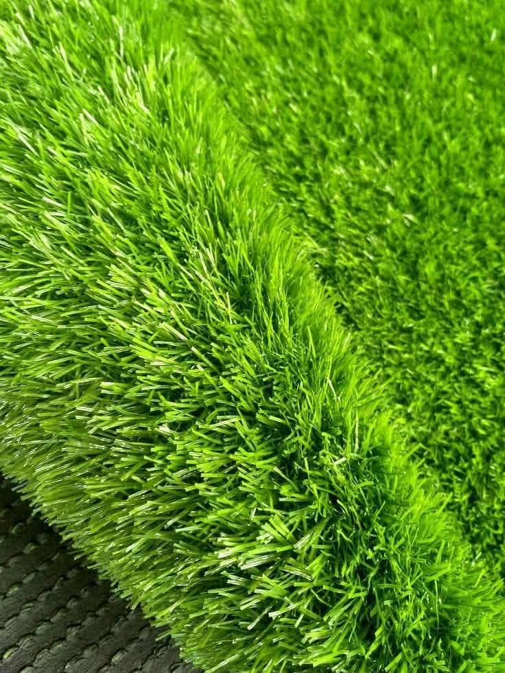 Artificial Grass 1