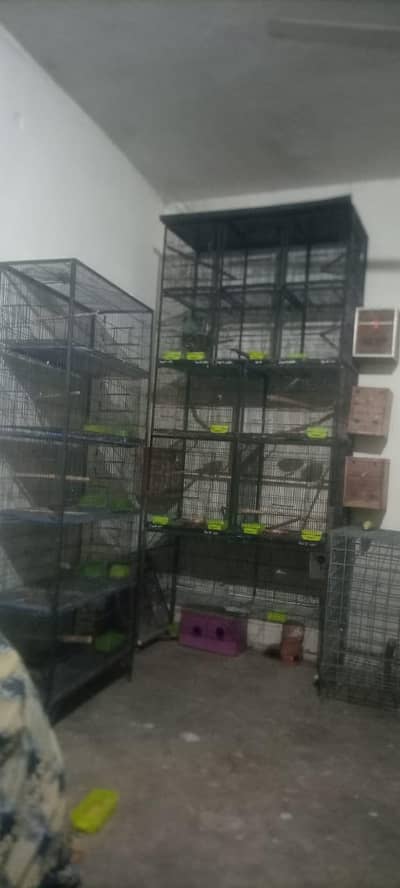 big cage 5portion for raw other big small birds