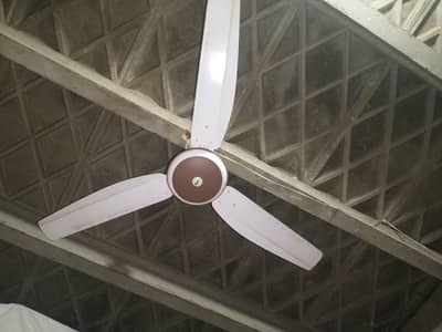 Hino ceiling fan