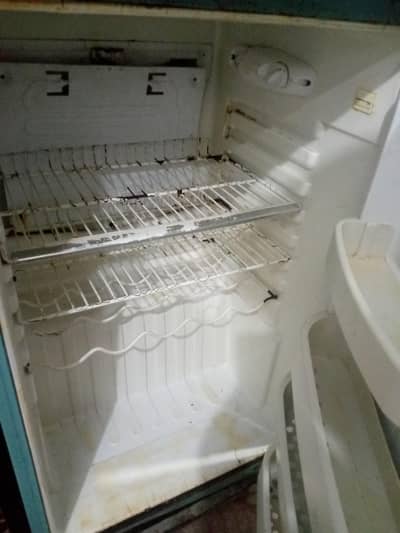 Orient Freezer