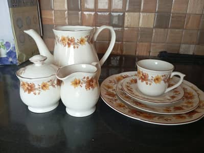 22 peice tea set