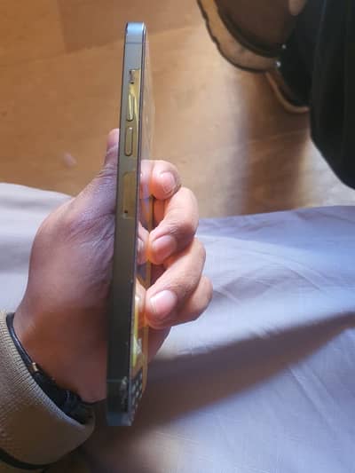 I phone 13 pro max Green