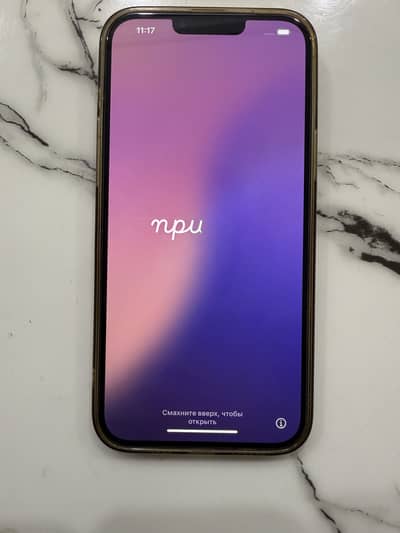 13 pro max PTA approved