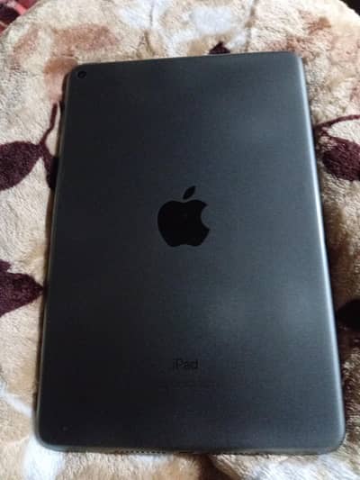 i pad mini 5