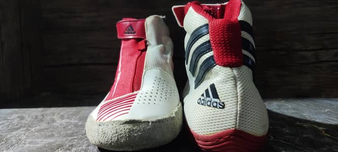 Adidas and logo preloved shoes