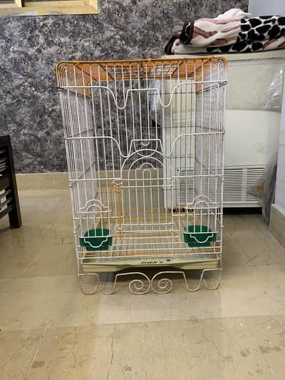 Gray parrot and raw parrot cage