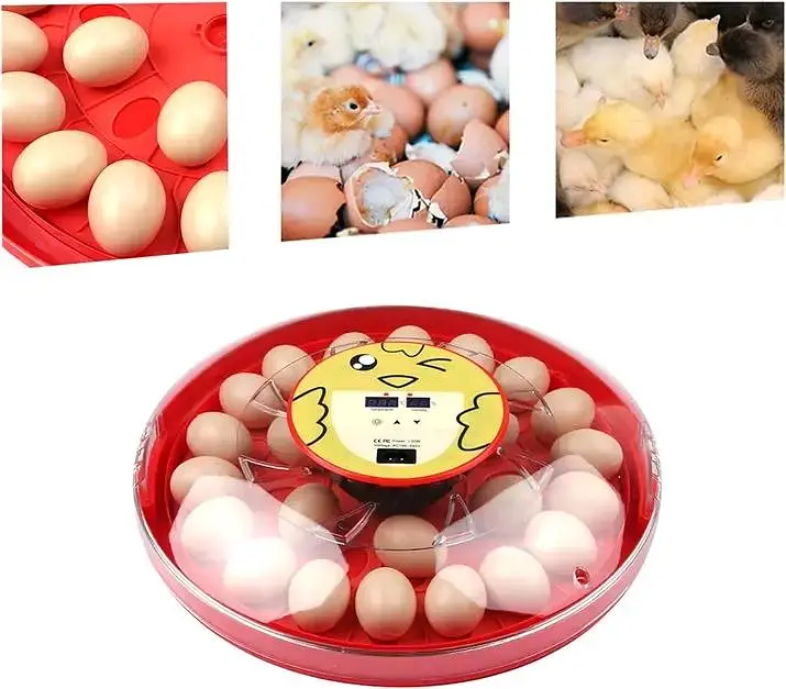 Eggs incubator | Hatching machine | automictic incubator | Brooder — photo 2