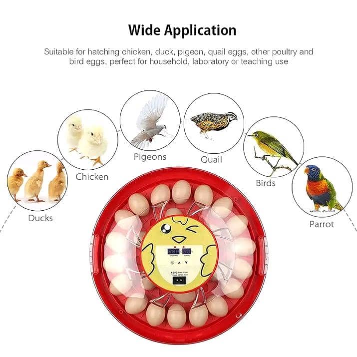 Automatic Egg Incubator | Egg Hatching Machine | Incubator | Brooder 5