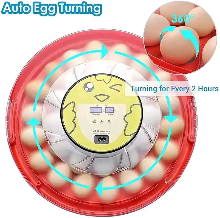 Eggs incubator | Hatching machine | automictic incubator | Brooder — photo 9