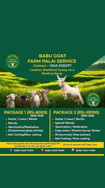 Root toop palai service