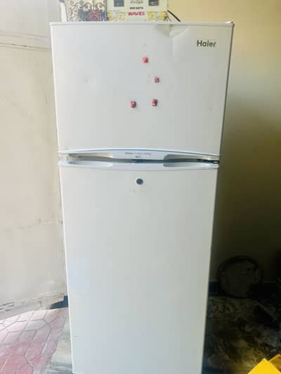Haier Refrigerator (Medium Size)