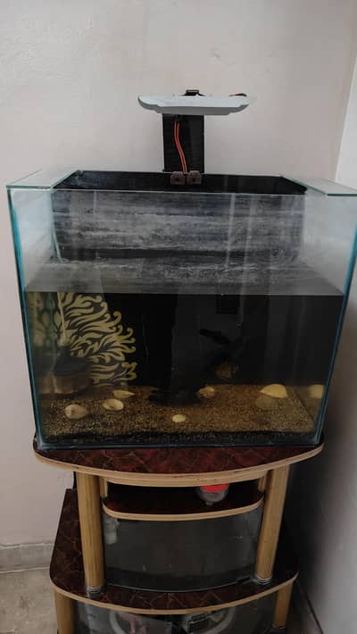 aquarium complete accessories