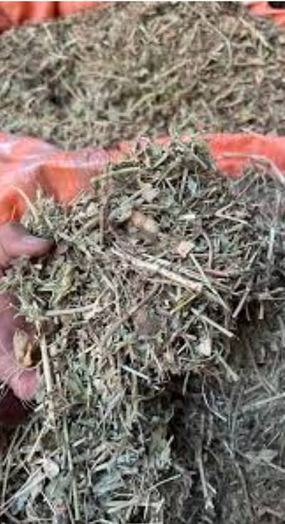 Mongphali missa | Peanut hay | مونگ پھلی مسہ