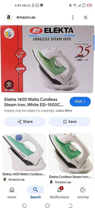 Cordless steam iron