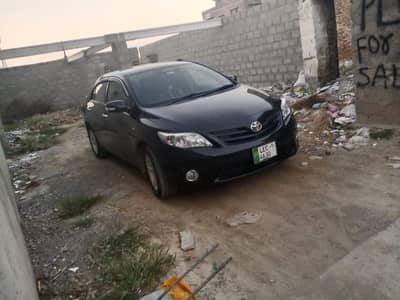 GLI totally original pain gl