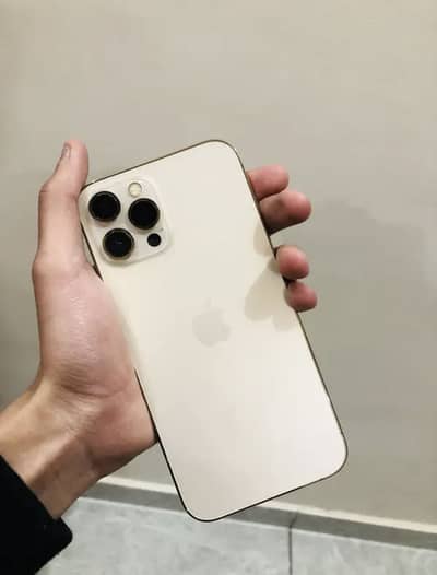 iphone 12 pro max pta approved