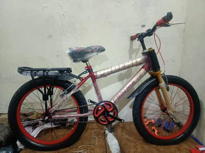 Phoenix bicycle 