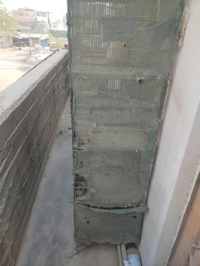 20 position bird cage  5 podition cage and 2 position cage  available