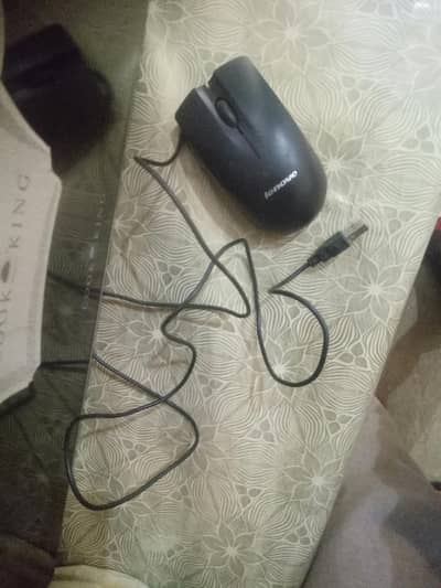 Mouse