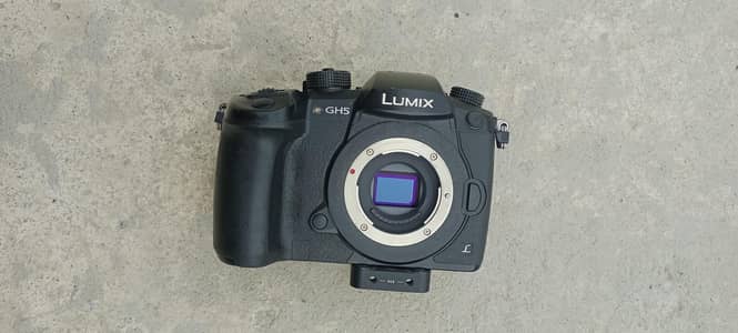Panasonic Lumix GH5 with 3x original batteries