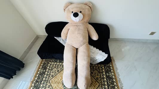 Teddy Bear | 5'5 | 5 feet and 5 inches | 10/10 condition