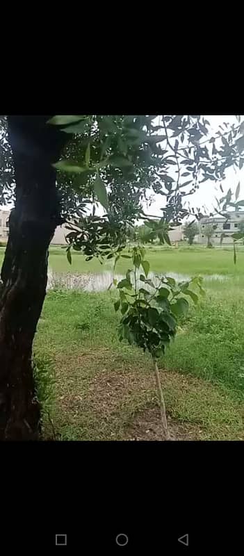 10 Marla Plot Is Avalabel In Grand Avenue.