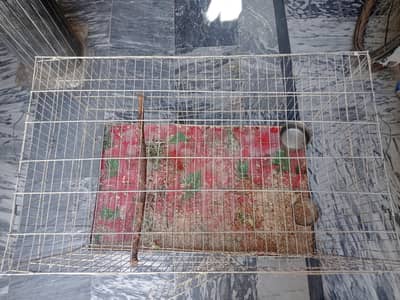 cage for hens, pets