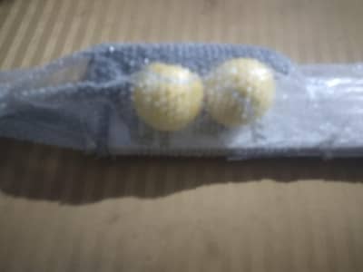 bat and 2 balls and bat cover